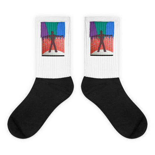 WONDER WALL (Socks)